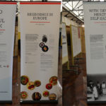 Three pull up banners showing text and images related to Red Cross.