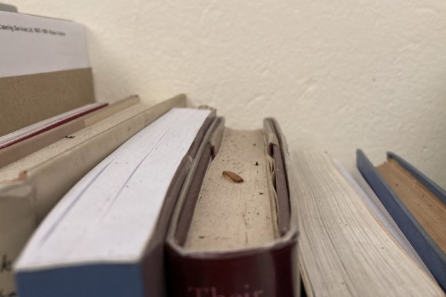 A row of books seen from the top and covered in dust.