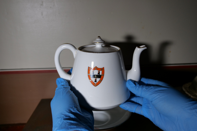 Two hands with blue gloves holding a small teapot