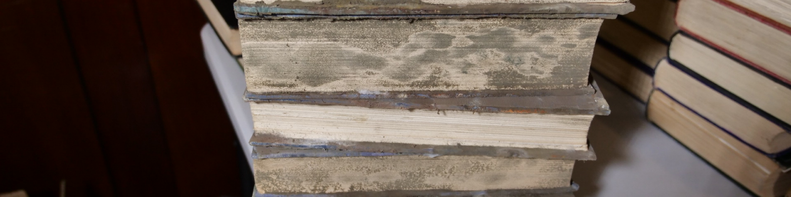 stack of books with mould covering front edges