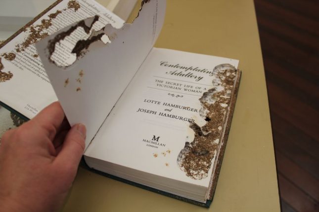 Book showing extensive silverfish damage