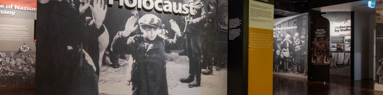 Large image of a young boy with hands raised under a sign reading 'The Holocaust'