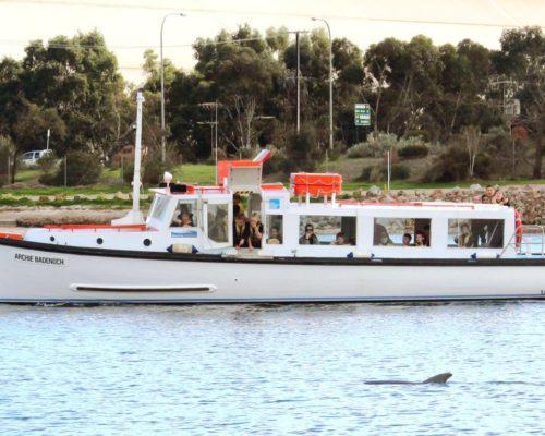 Archie Badenoch Port River Cruise